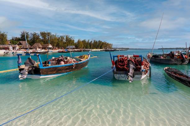 séjour à Zanzibar agence de voyages