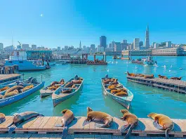 Histoire de San Francisco : évolution de Yerba Buena à Silicon Valley