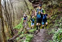 L’équipement essentiel pour profiter pleinement du trail 2 men running on forest during daytime