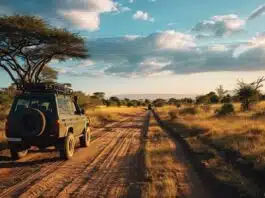 Préparer son voyage en Tanzanie et à Zanzibar : les formalités indispensables