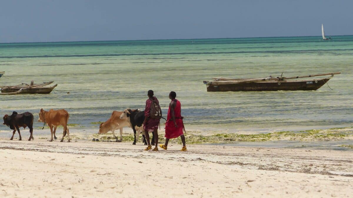 Préparer son voyage en Tanzanie et à Zanzibar : les formalités indispensables