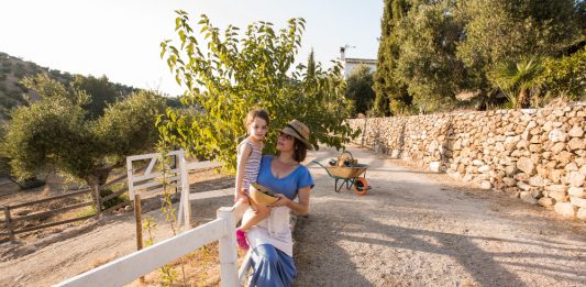 Séjour à la provençale : les meilleures locations de vacances