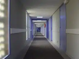 Lutter contre les punaises de lit en hôtel pour garantir la satisfaction client Éradication des punaises de lit dans les hôtels : une nécessité pour la satisfaction client !