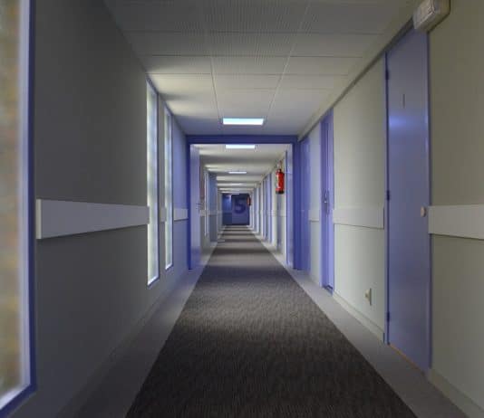 Lutter contre les punaises de lit en hôtel pour garantir la satisfaction client Éradication des punaises de lit dans les hôtels : une nécessité pour la satisfaction client !