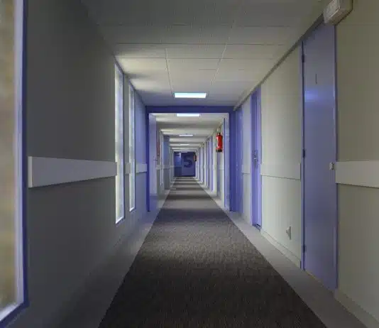 Éradication des punaises de lit dans les hôtels : une nécessité pour la satisfaction client !