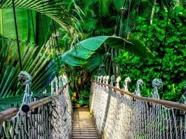 Quels sont les atouts d'opter pour une location de vacances sur l'île de la Beauté ?