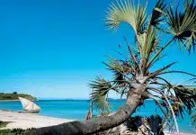 vacances à Madagascar